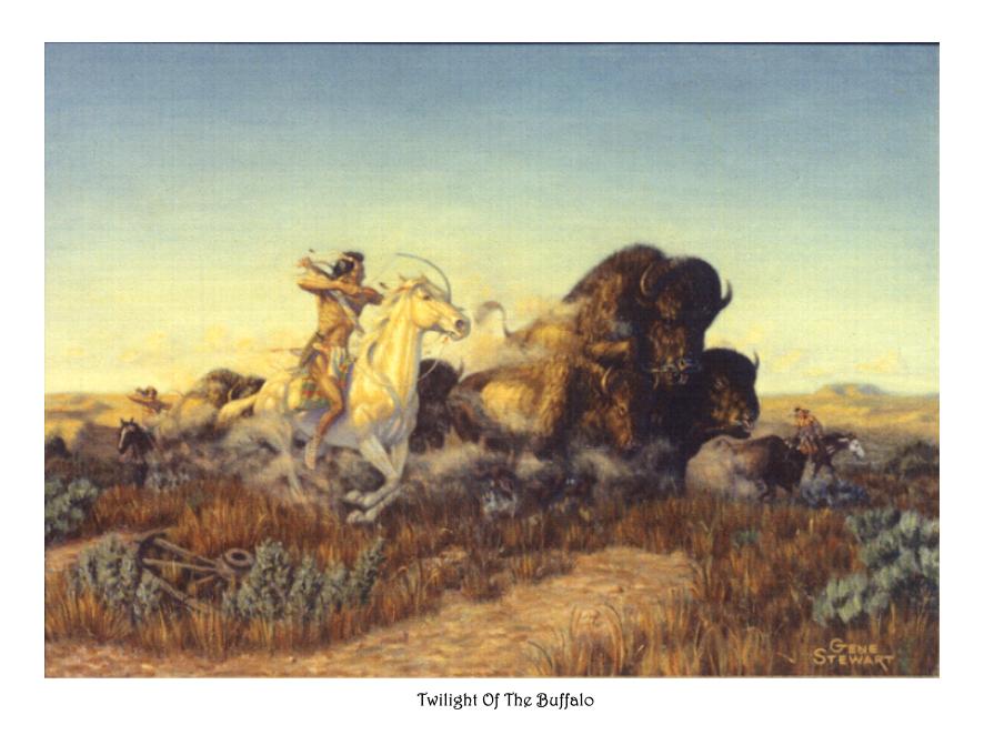 "Twilight of The Buffalo", print