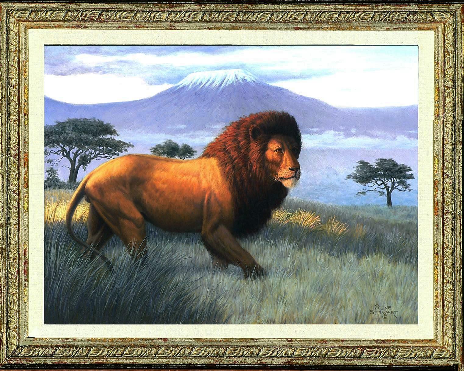 "Simba" oil painting