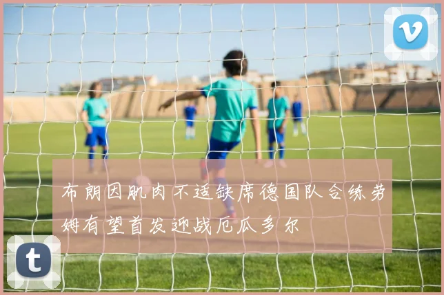 布朗因肌肉不适缺席德国队合练劳姆有望首发迎战厄瓜多尔