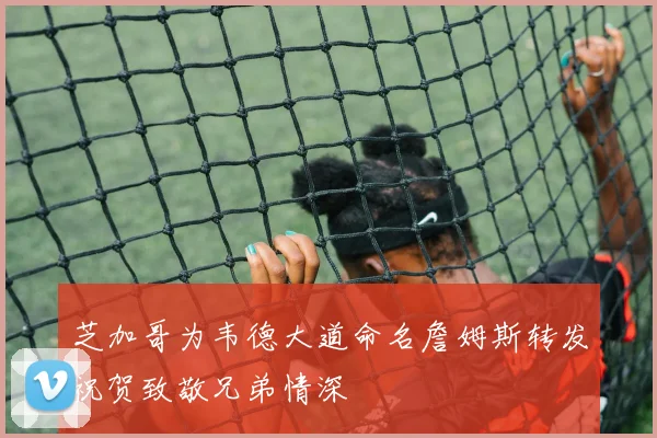 芝加哥为韦德大道命名詹姆斯转发祝贺致敬兄弟情深
